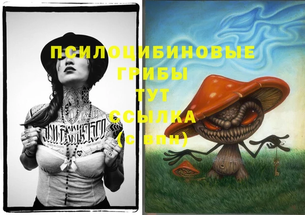 стаф Алзамай