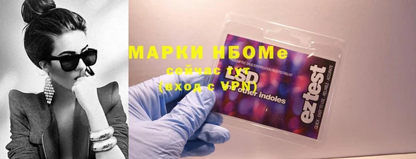 стаф Алзамай