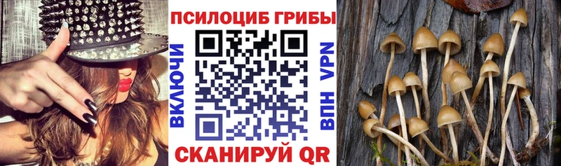 Псилоцибиновые грибы прущие грибы Жуковка