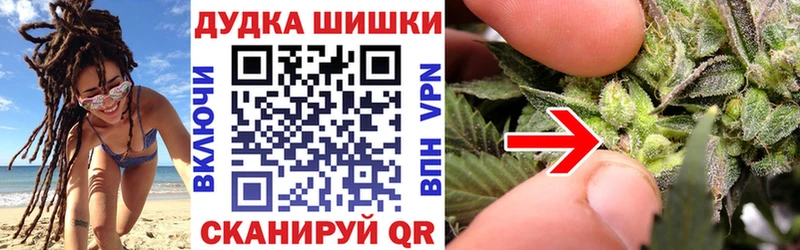 Бошки Шишки SATIVA & INDICA  купить закладку  Жуковка 